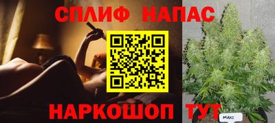 спиды Гатчина