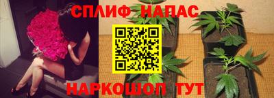 мдма Гай