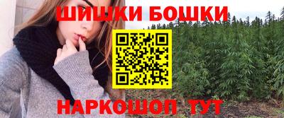 спиды Гатчина