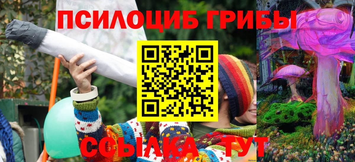 Междуреченск  Псилоцибиновые грибы мухоморы  Вход с VPN  Псилоцибиновые грибы мухоморы 