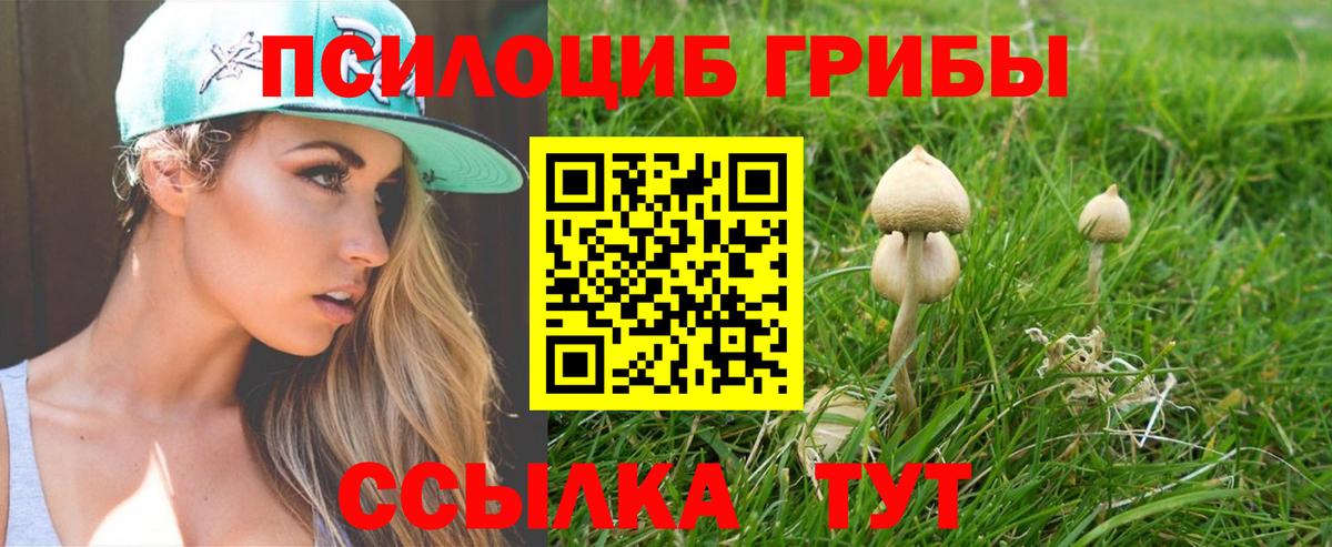 Галлюциногенные грибы мицелий Междуреченск